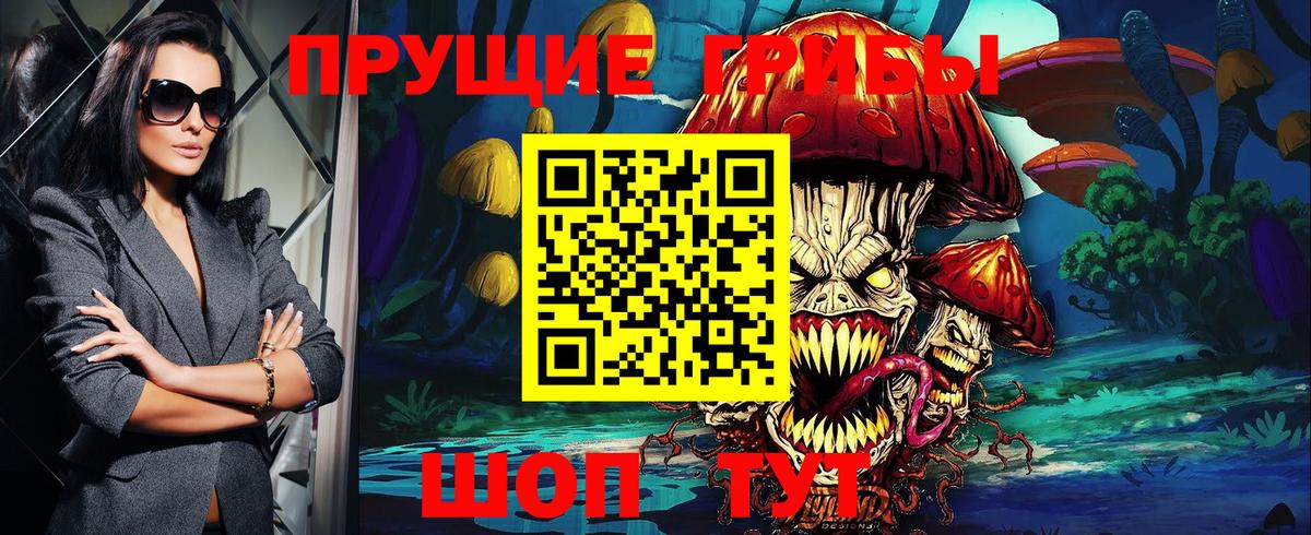 Псков  Псилоцибиновые грибы мухоморы  Вход с VPN 